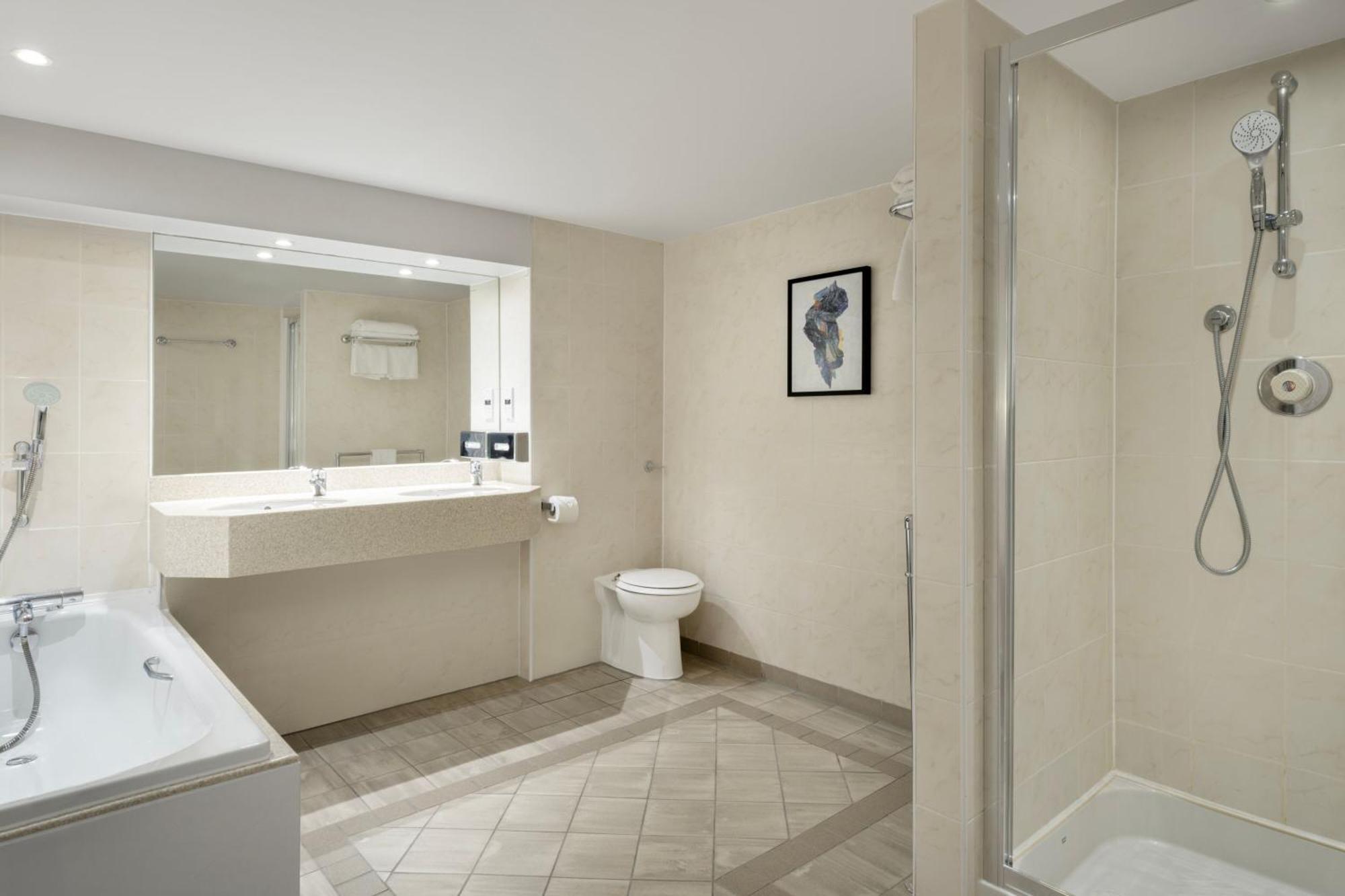 Suite King con 1 Camera da Letto e Divano-Letto